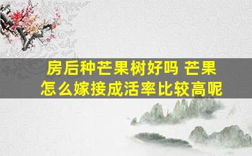 房后种芒果树好吗 芒果怎么嫁接成活率比较高呢